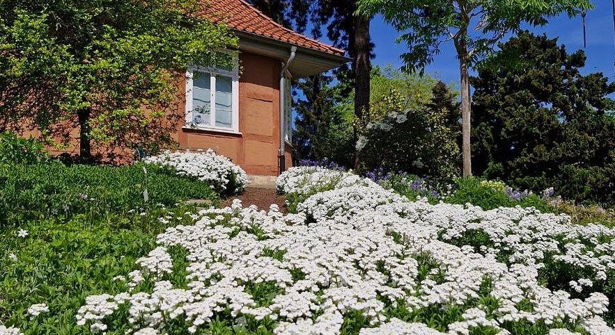 TU Brunswick Botanical Garden, Braunschweig, Germany, Germany